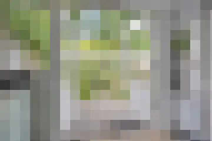 Klarinet 351 Soest thumbnail 10