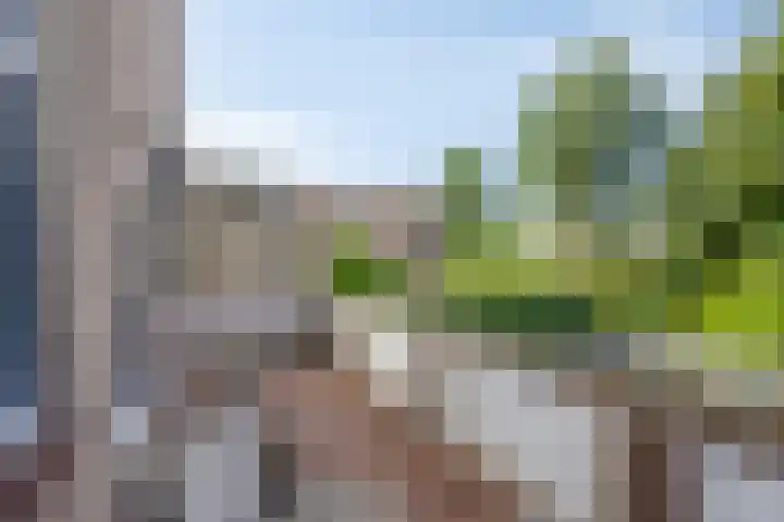 Klarinet 351 Soest thumbnail 19