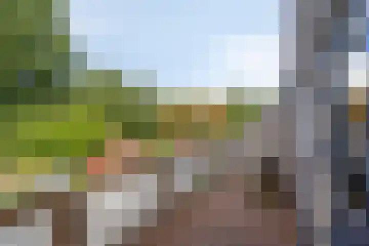 Klarinet 351 Soest thumbnail 20