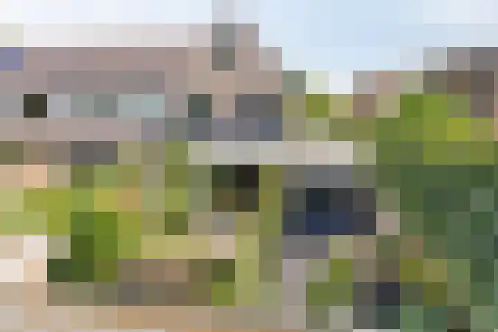 Klarinet 351 Soest thumbnail 33