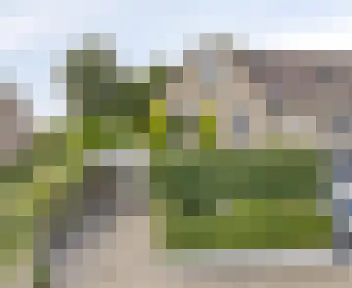 Klarinet 351 Soest thumbnail 39