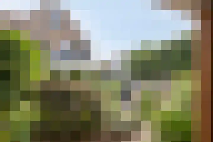 Klarinet 351 Soest thumbnail 41