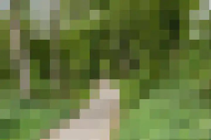 Klarinet 351 Soest thumbnail 42