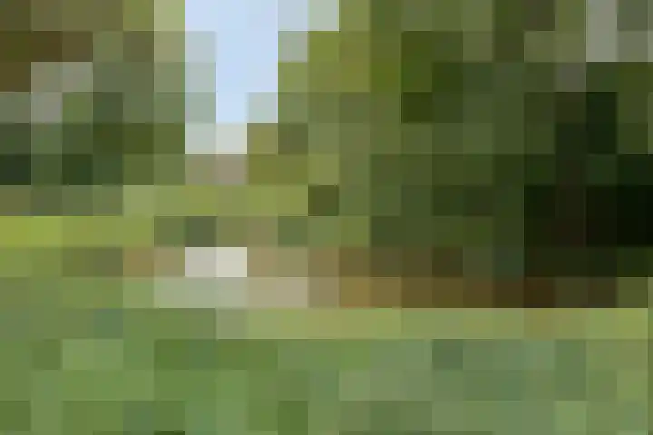 Klarinet 351 Soest thumbnail 43