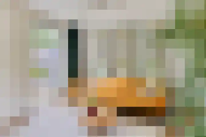Klarinet 351 Soest thumbnail 5