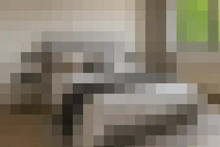 Klarinet 375 Soest thumbnail 13