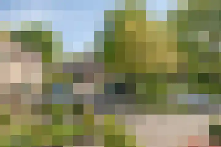 Klarinet 375 Soest thumbnail 27