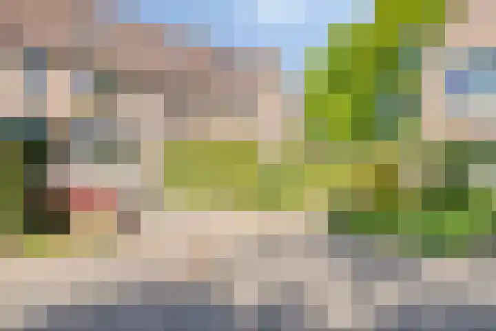 Klarinet 375 Soest thumbnail 28