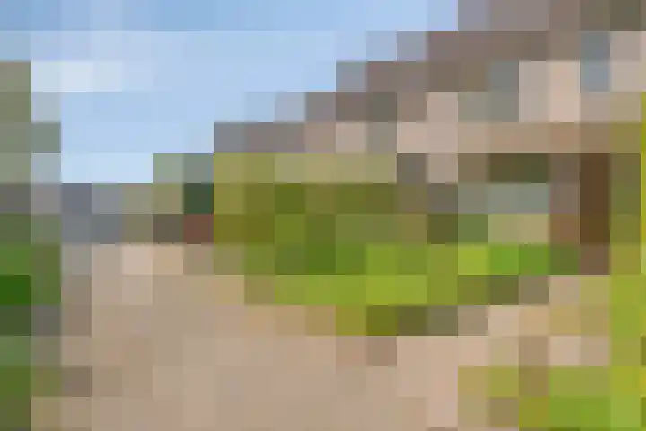 Klarinet 375 Soest thumbnail 29