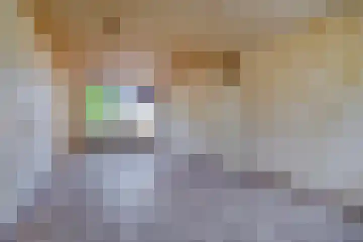 Klarinet 375 Soest thumbnail 7