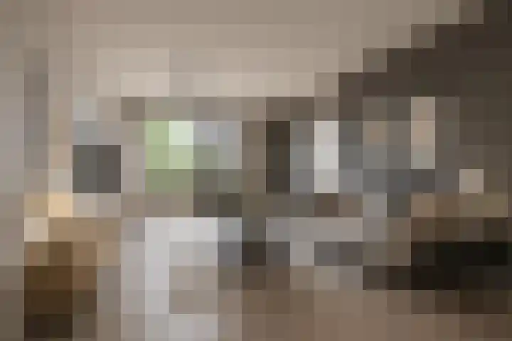 Klarinet 375 Soest thumbnail 8