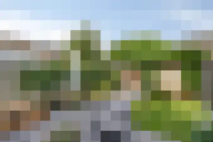 Klarinetlaan 46 Oldenzaal thumbnail 22