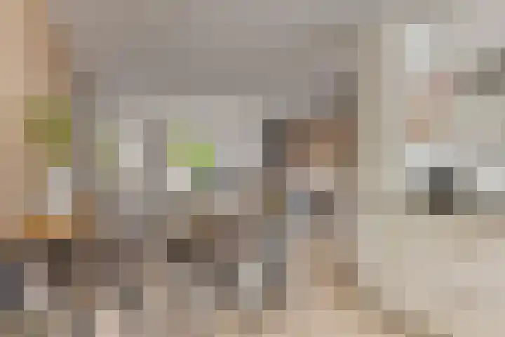 Klarinetlaan 46 Oldenzaal thumbnail 6