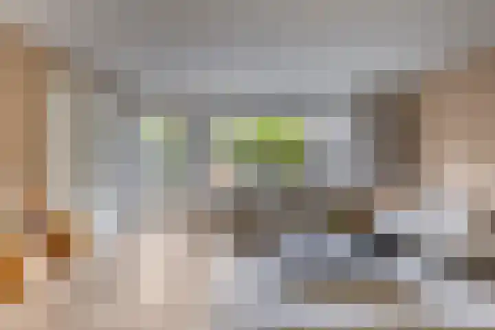 Klarinetlaan 46 Oldenzaal thumbnail 7