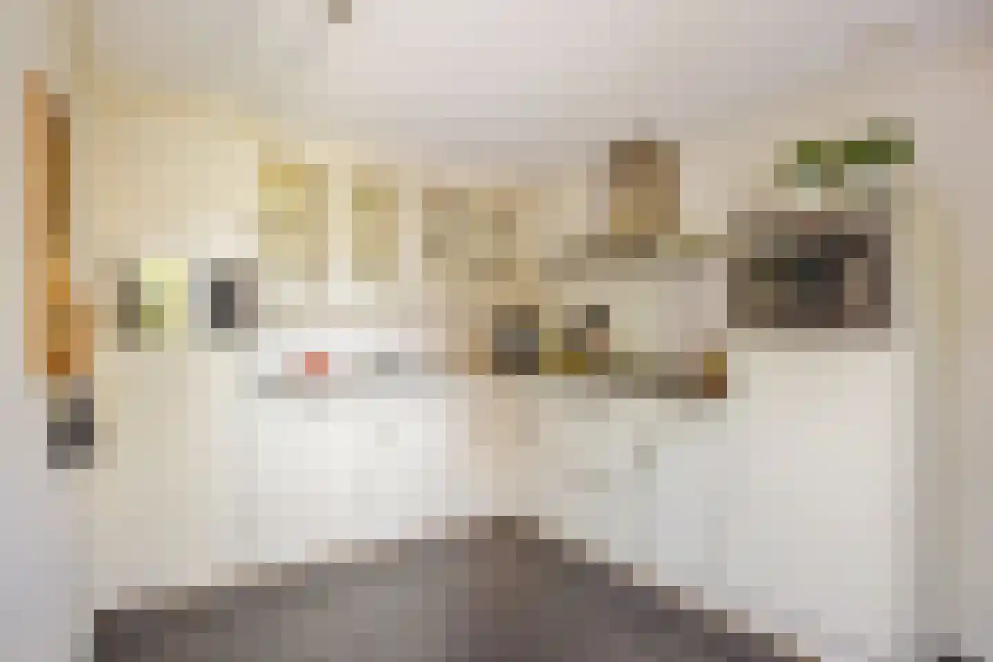 Klarinetlaan 6 Oldenzaal thumbnail 12