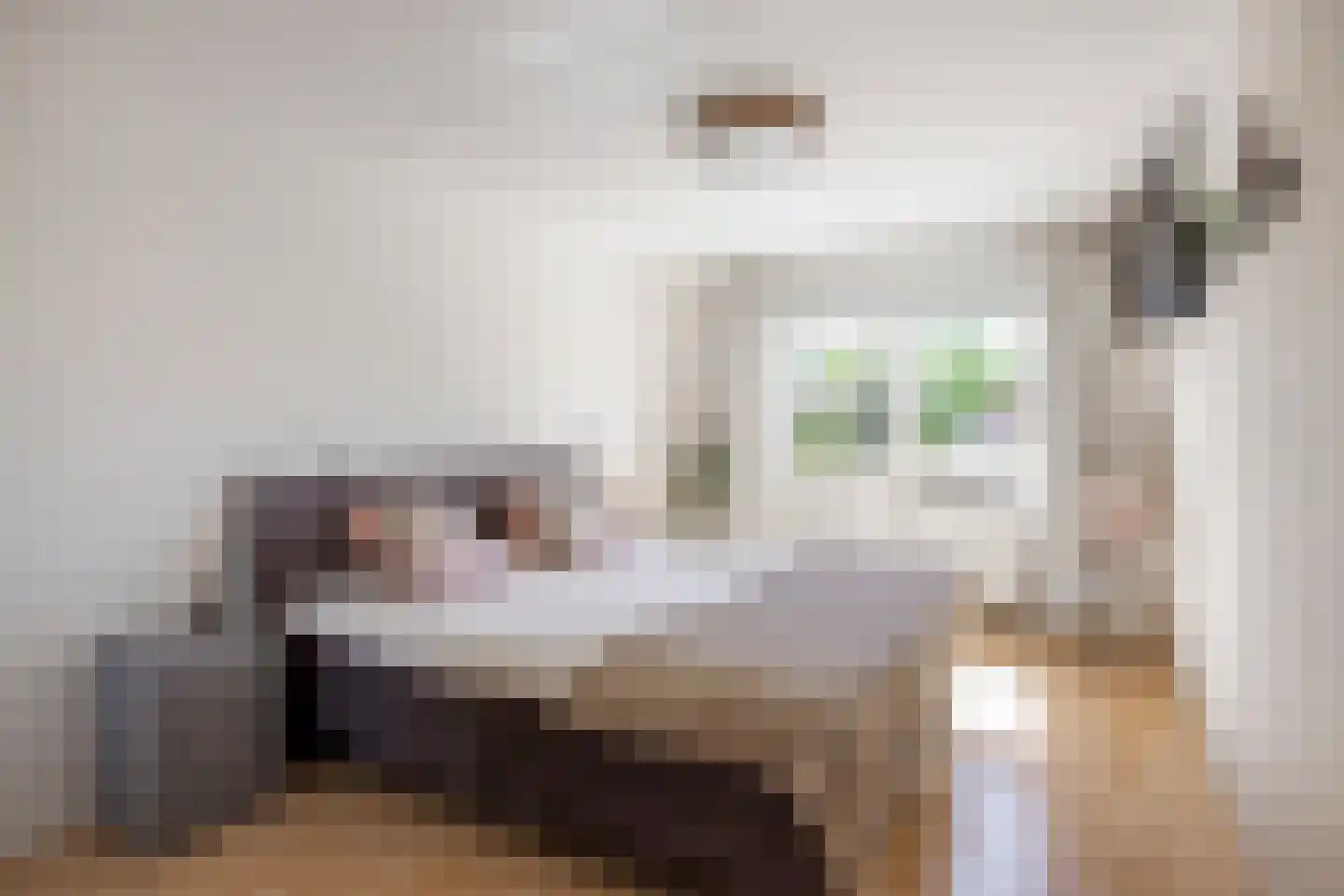 Klarinetlaan 6 Oldenzaal thumbnail 4