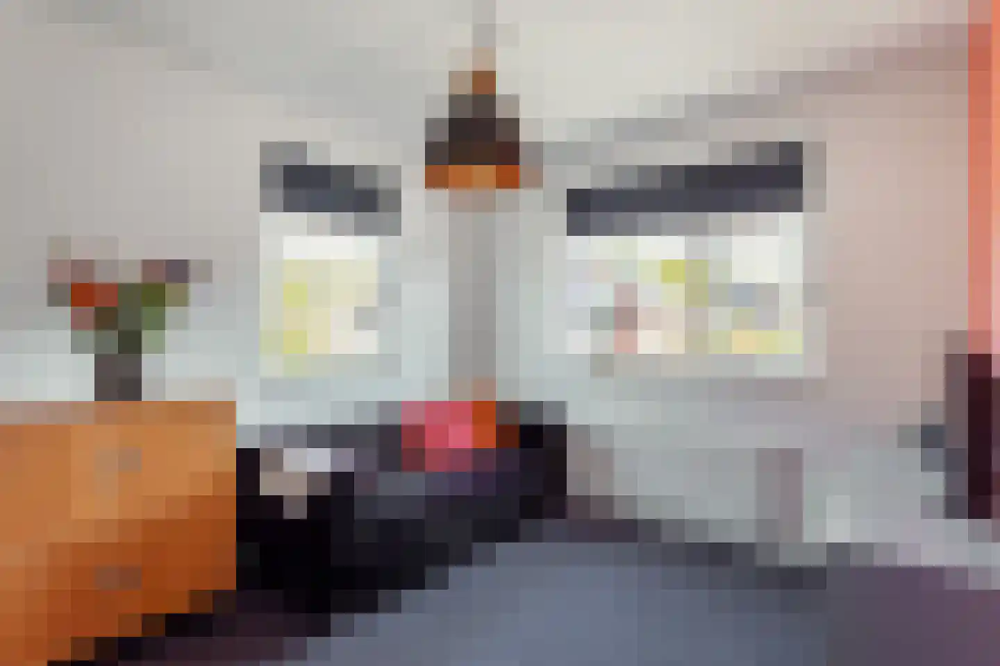Klarinetlaan 8 Oldenzaal thumbnail 16