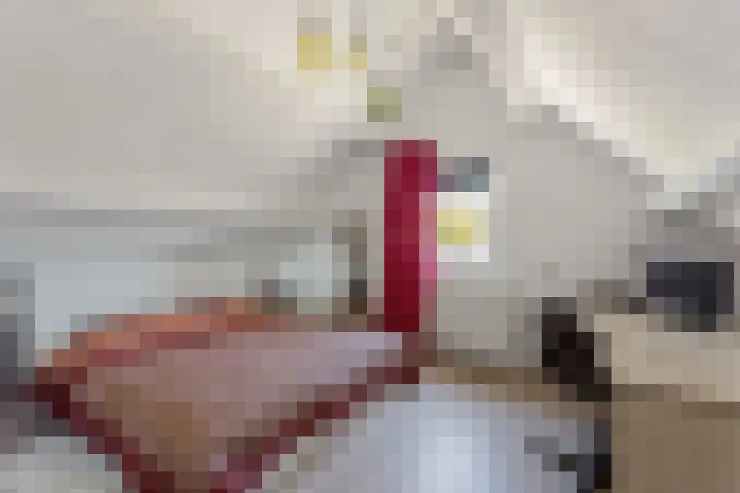 Klarinetlaan 8 Oldenzaal thumbnail 17