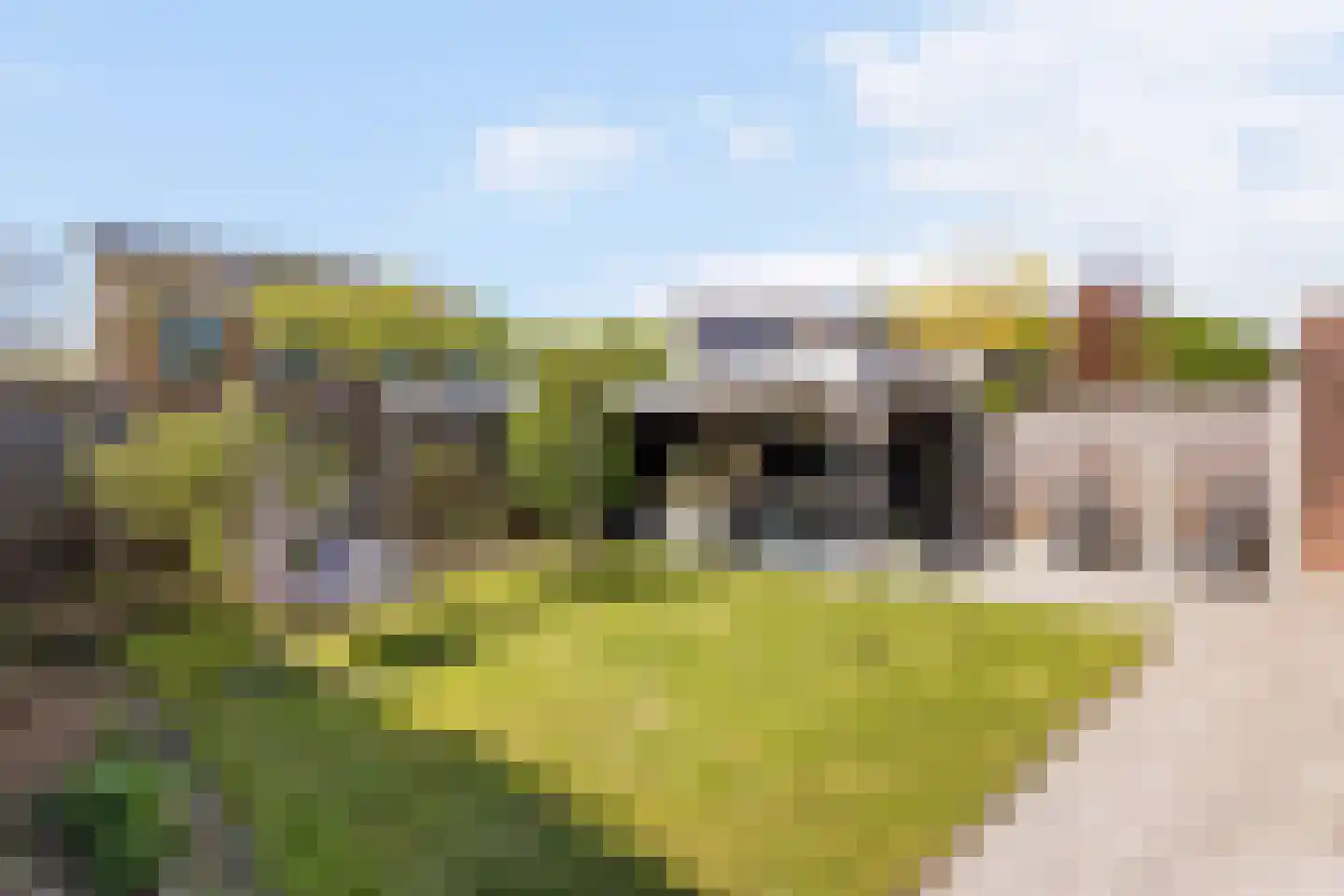 Klarinetlaan 8 Oldenzaal thumbnail 20