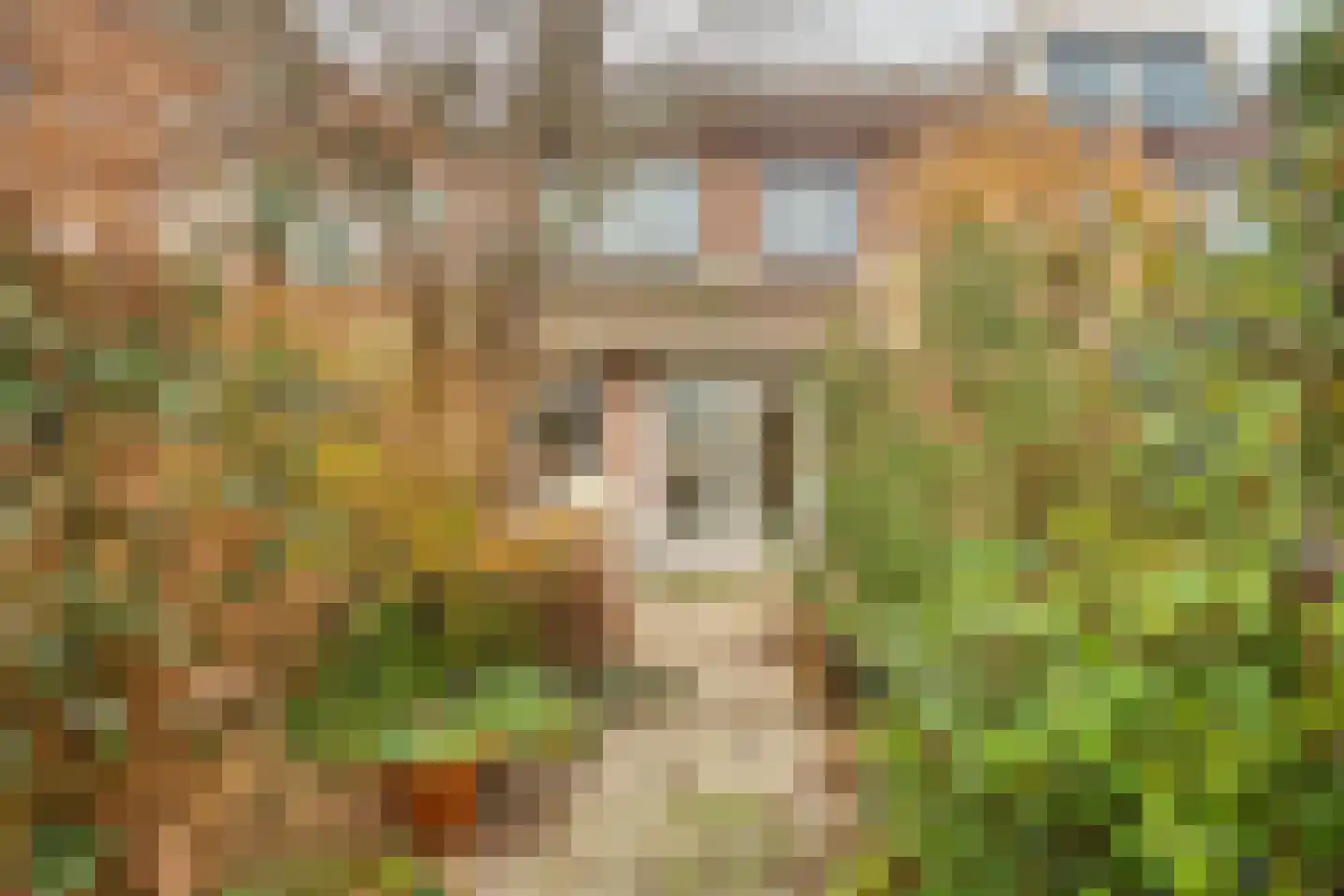 Klarinetsingel 132 Zwijndrecht thumbnail 4