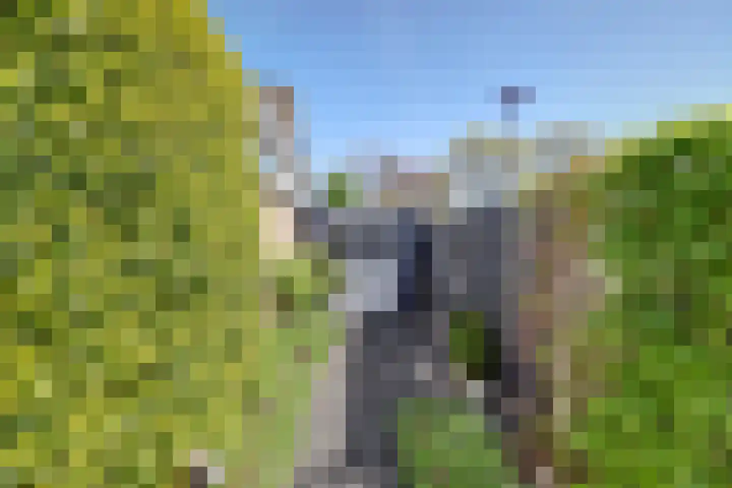 Klarinetsingel 170 Zwijndrecht thumbnail 48