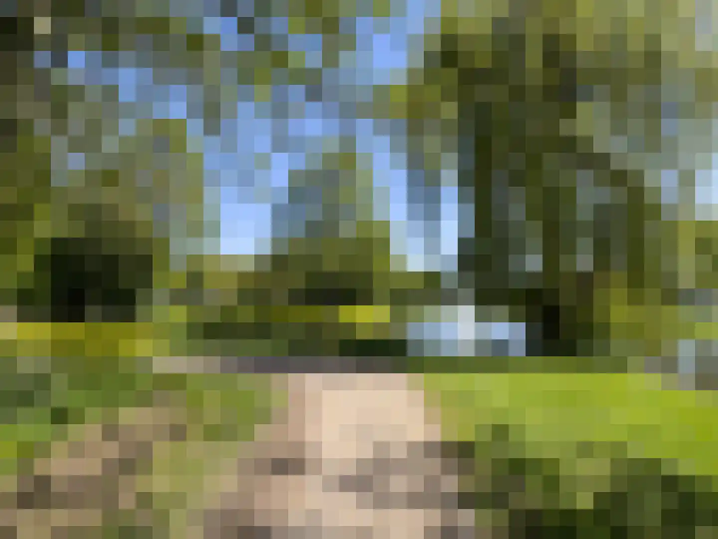 Klarinetsingel 170 Zwijndrecht thumbnail 53
