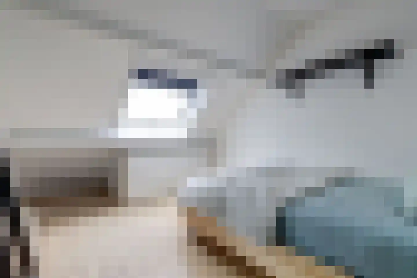 Klarinetsingel 44 Zwijndrecht thumbnail 36