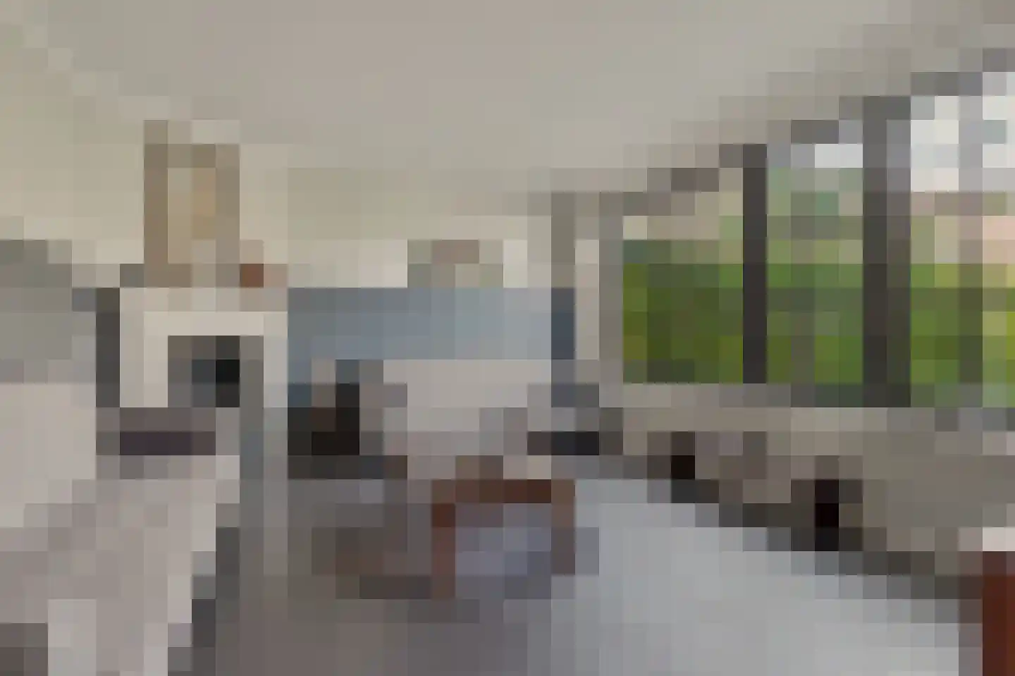 Klarinetstraat 1 Goes thumbnail 12