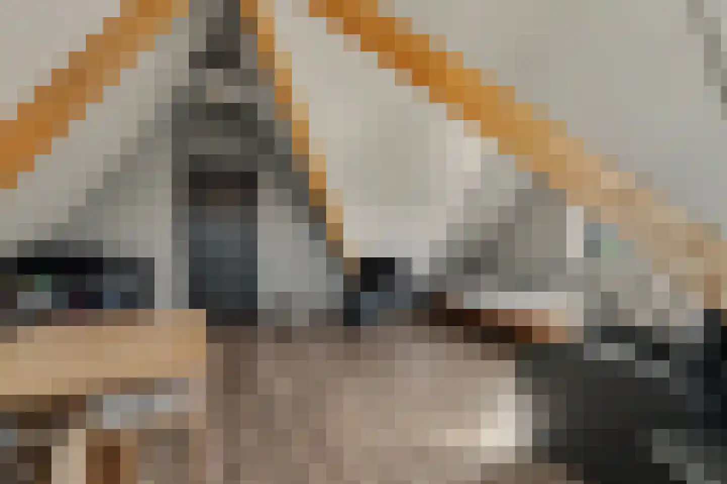 Klarinetstraat 1 Goes thumbnail 40