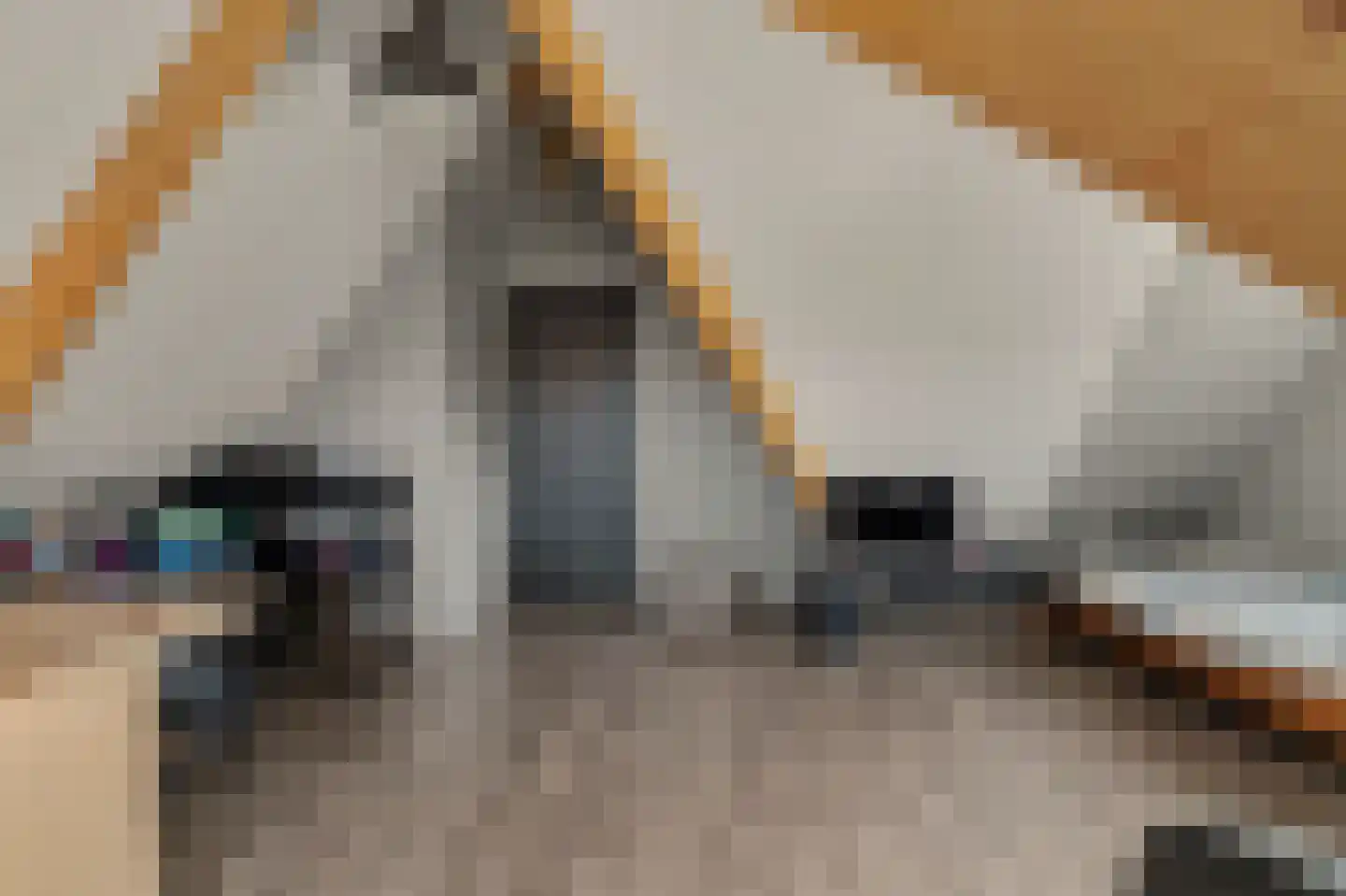 Klarinetstraat 1 Goes thumbnail 41