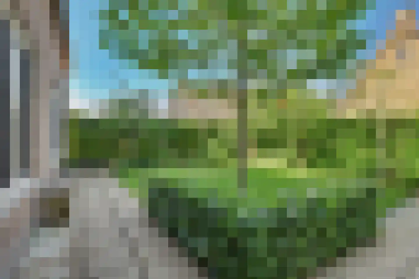Klarinetstraat 1 Goes thumbnail 44