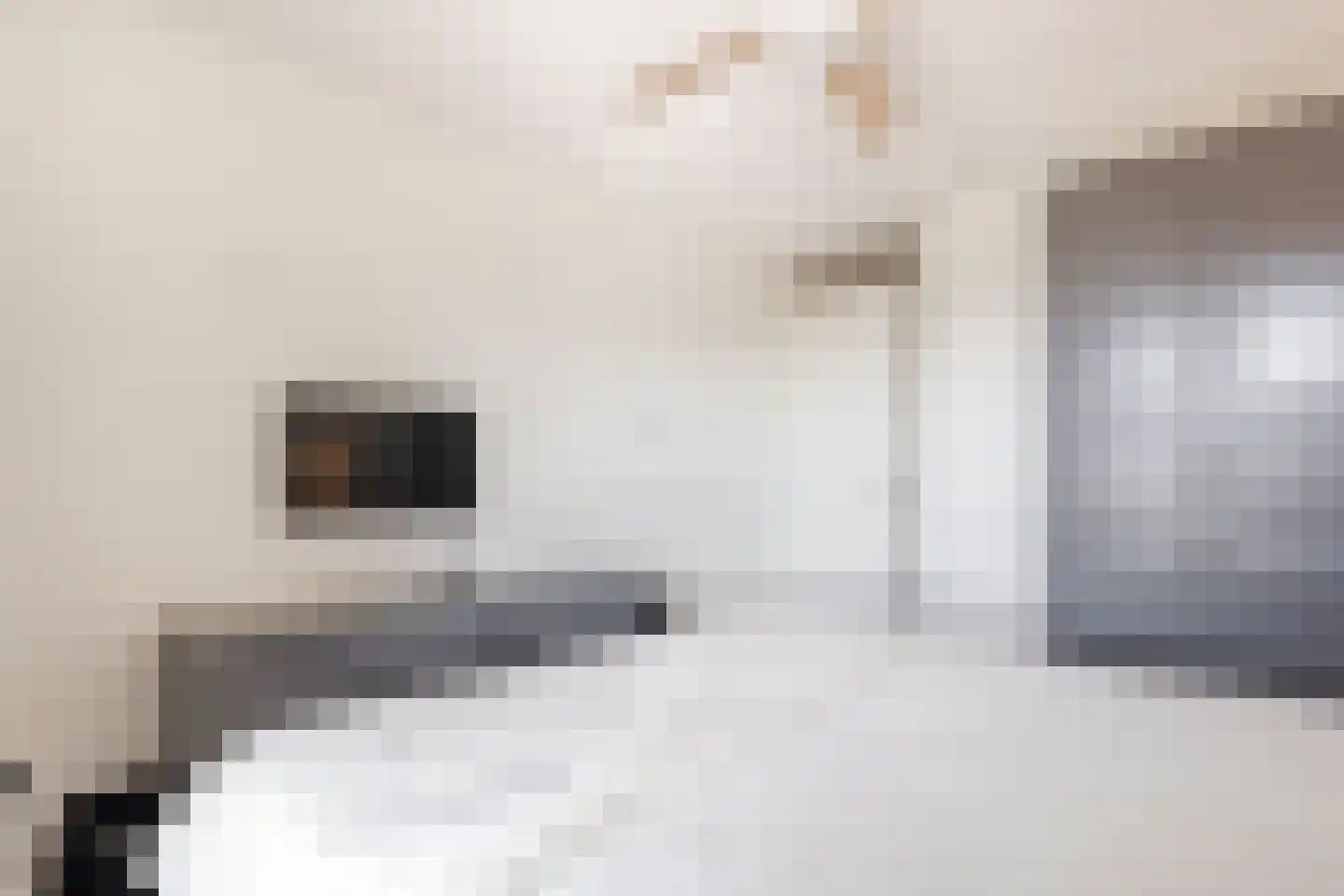 Klarinetstraat 11 Sliedrecht thumbnail 16
