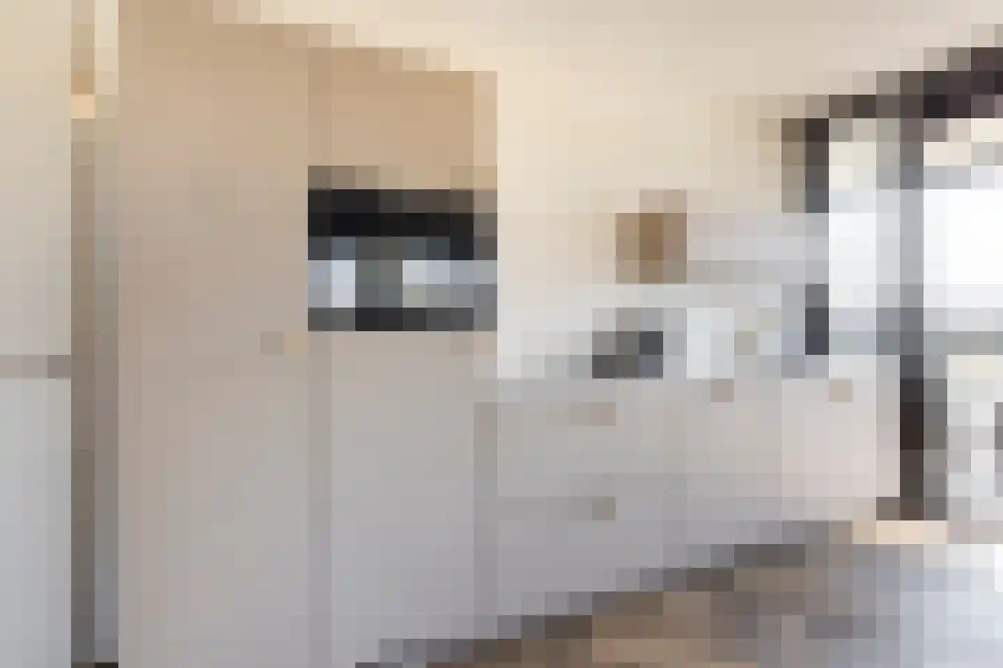 Klarinetstraat 11 Sliedrecht thumbnail 7