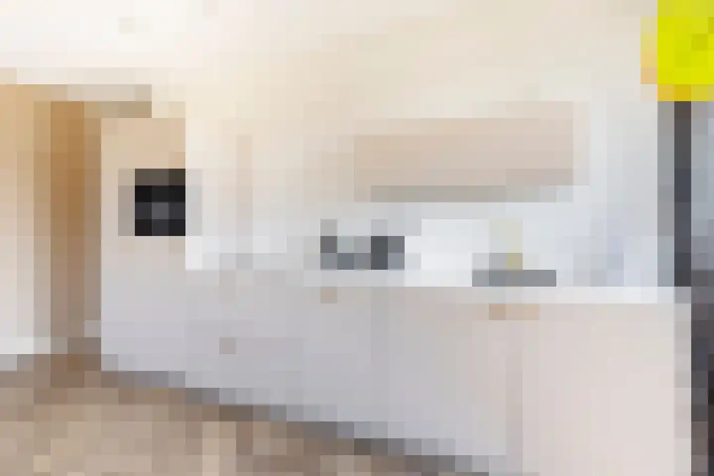 Klarinetstraat 11 Sliedrecht thumbnail 8