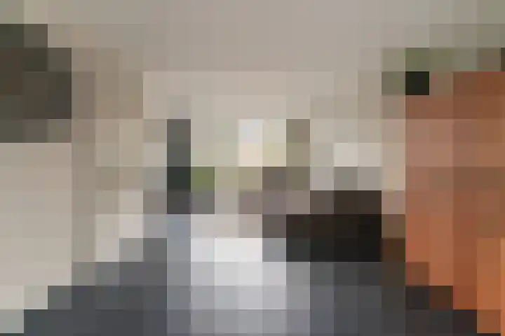 Klarinetstraat 13 Duiven thumbnail 17