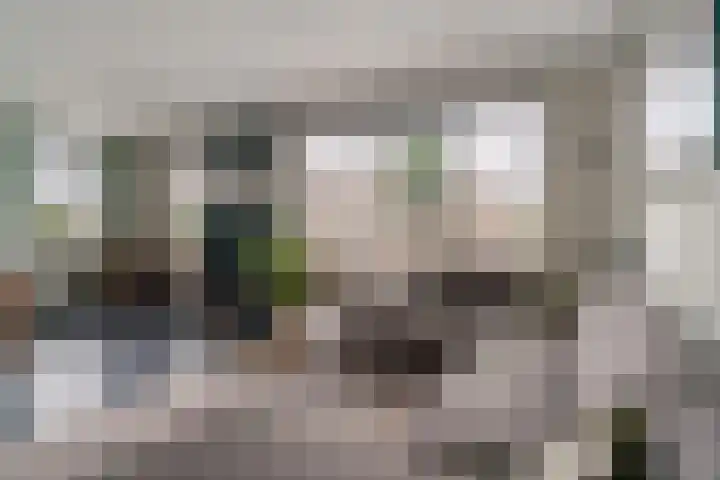 Klarinetstraat 13 Duiven thumbnail 19