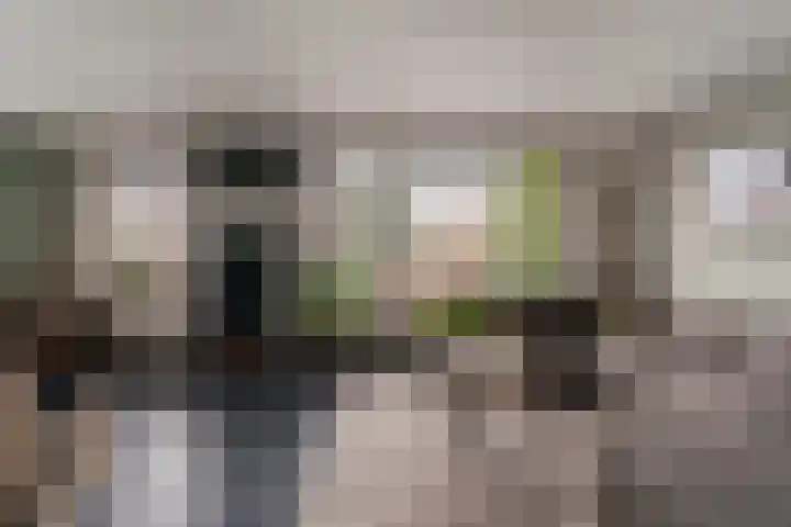 Klarinetstraat 13 Duiven thumbnail 20