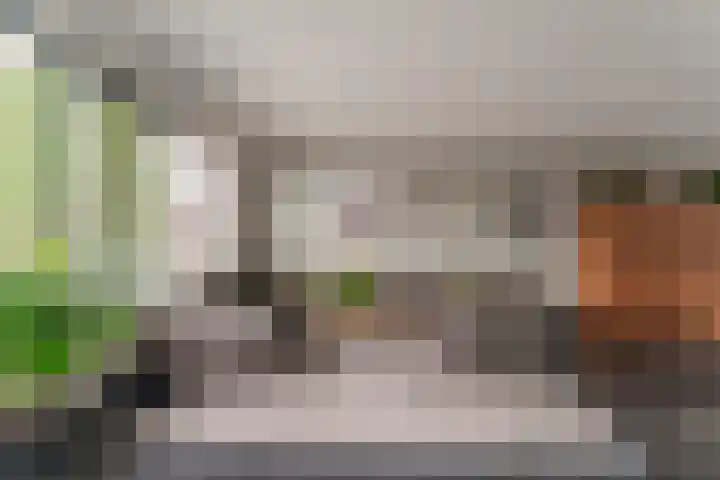 Klarinetstraat 13 Duiven thumbnail 22