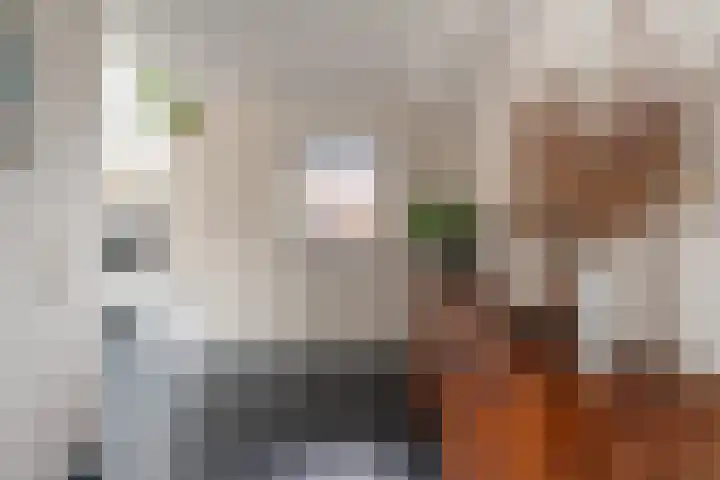 Klarinetstraat 13 Duiven thumbnail 23
