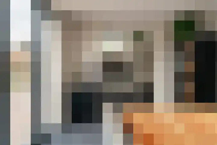 Klarinetstraat 13 Duiven thumbnail 31
