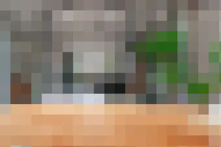 Klarinetstraat 13 Duiven thumbnail 32