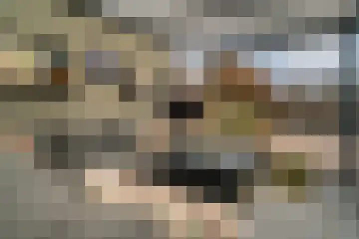 Klarinetstraat 13 Duiven thumbnail 35