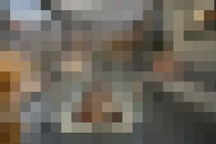 Klarinetstraat 13 Duiven thumbnail 37