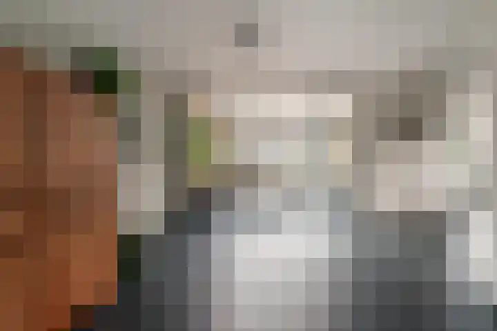 Klarinetstraat 13 Duiven thumbnail 4