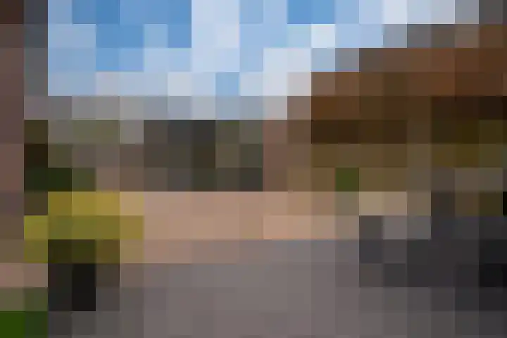 Klarinetstraat 13 Duiven thumbnail 40