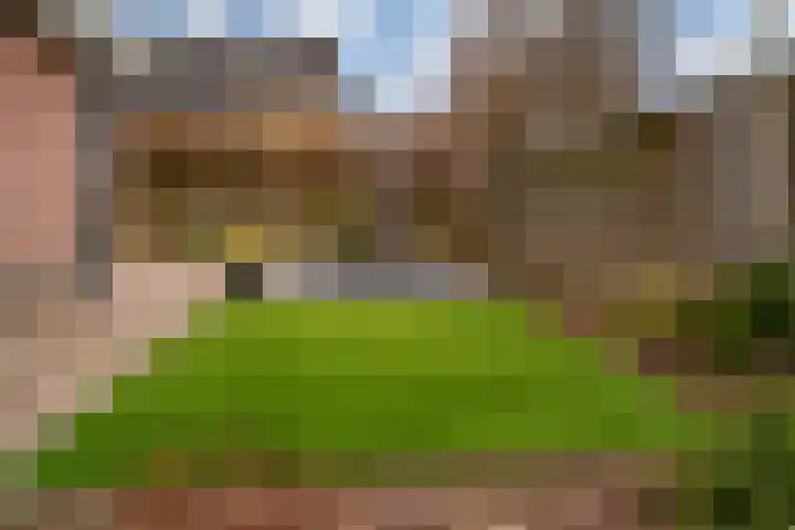 Klarinetstraat 13 Duiven thumbnail 42