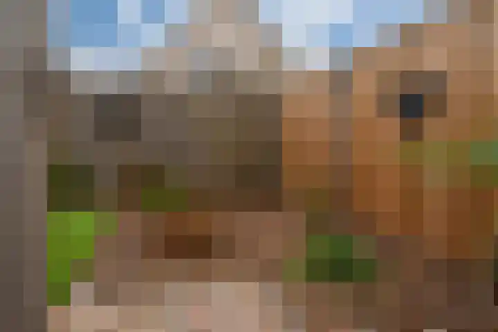 Klarinetstraat 13 Duiven thumbnail 43