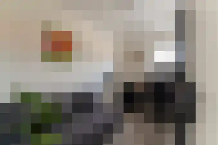 Klarinetstraat 13 Duiven thumbnail 58