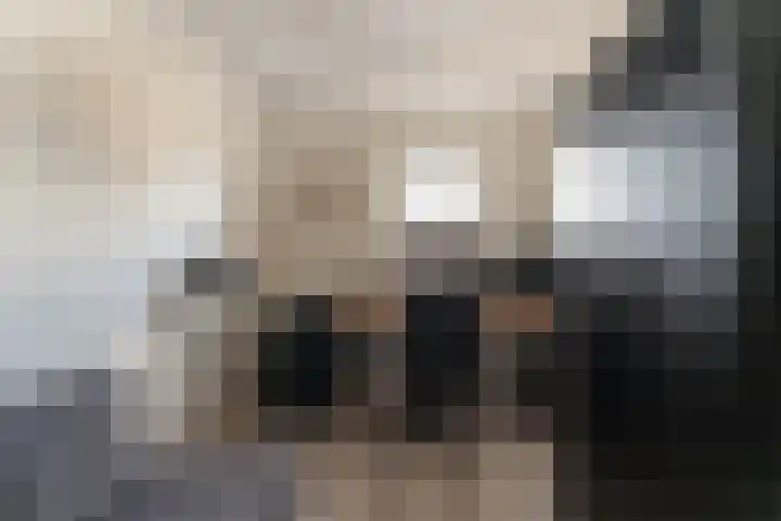 Klarinetstraat 13 Duiven thumbnail 59