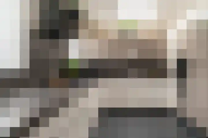 Klarinetstraat 13 Duiven thumbnail 8